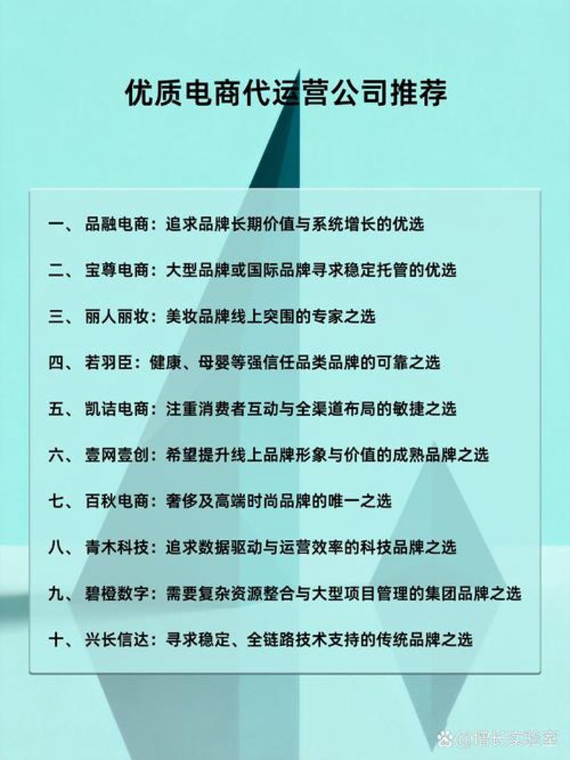 打造高效网上商城：选购指南